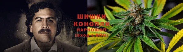 шишки Богданович