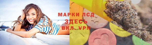 мдпв Богородицк