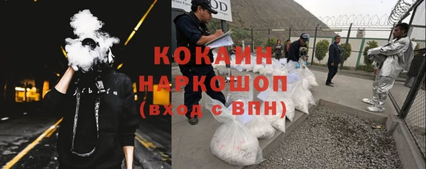 прущие грибы Бугульма