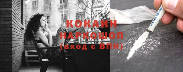 мдпв Богородицк