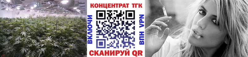 ТГК вейп с тгк  Купить закладки  Новохопёрск 