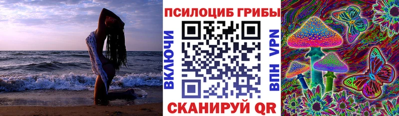 Купить  Новохопёрск  Галлюциногенные грибы Cubensis 