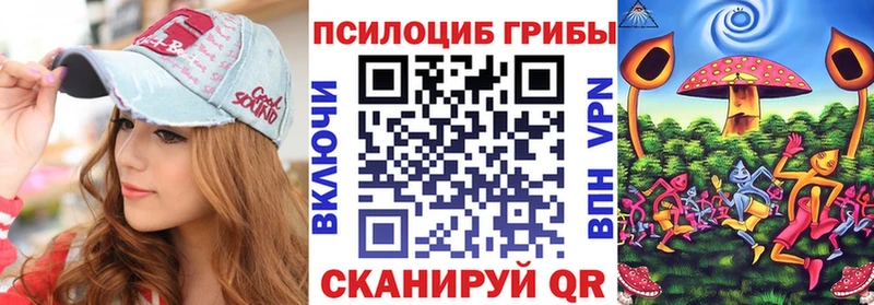 Псилоцибиновые грибы Psilocybe Новохопёрск